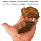 Pietre brute din cristal natural Ochi de Tigru 4-5 cm – Talisman al Prosperitatii si Increderii in Sine