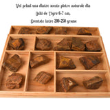 Pietre brute din cristal natural Ochi de Tigru 4-5 cm – Talisman al Prosperitatii si Increderii in Sine