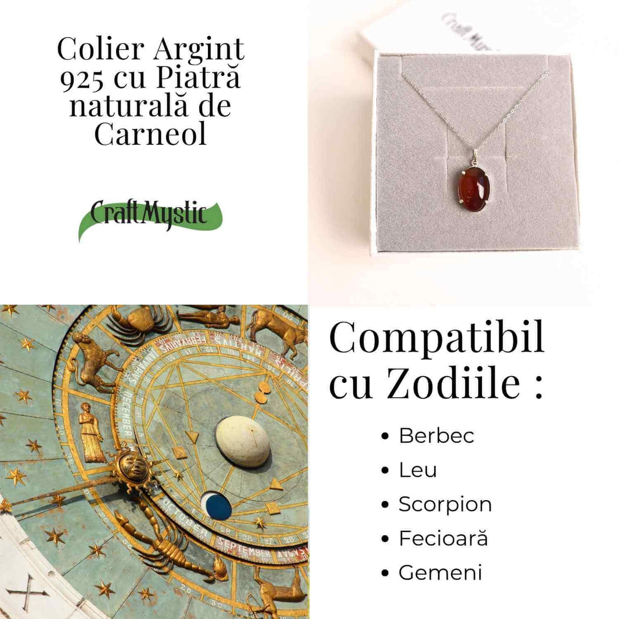 Vitalitate si Curaj Zilnic - Colier Oval cu Carneol si Argint 925