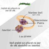 Inel Ajustabil Argint 925 placat cu Aur 18K si Dublu Ametist - Calm si Protectie Energetica