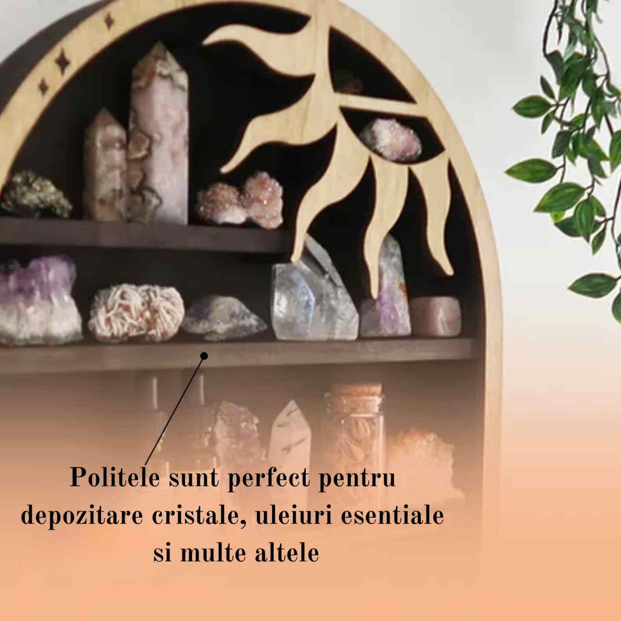 Mini Raft 45x35 cm expunere din lemn pentru cristale 6 cm adancime