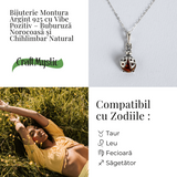 Bijuterie montura argint 925 cu vibe pozitiv - Colier Buburuza norocoasa si chihlimbar natural