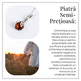 Bijuterie montura argint 925 cu vibe pozitiv - Colier Buburuza norocoasa si chihlimbar natural