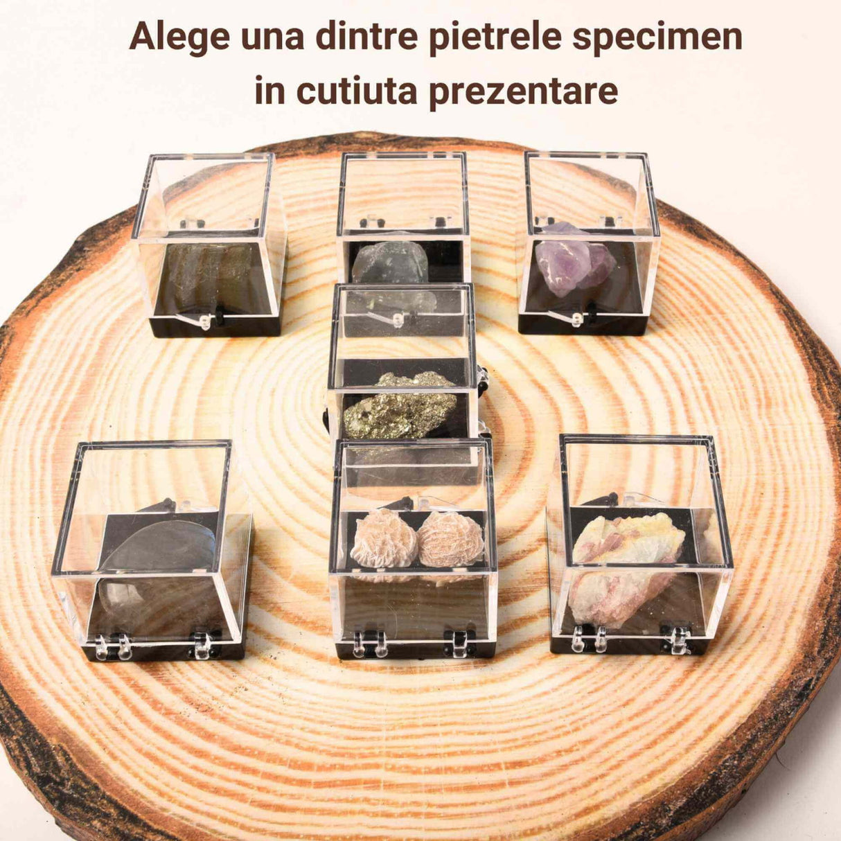 Pietre Brute Specimen 2-3 cm in Cutiuta de Prezentare