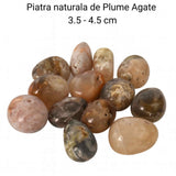 Piatra Naturala Plume Agate din Indonezia – Claritate, Echilibru si Armonie Interioara