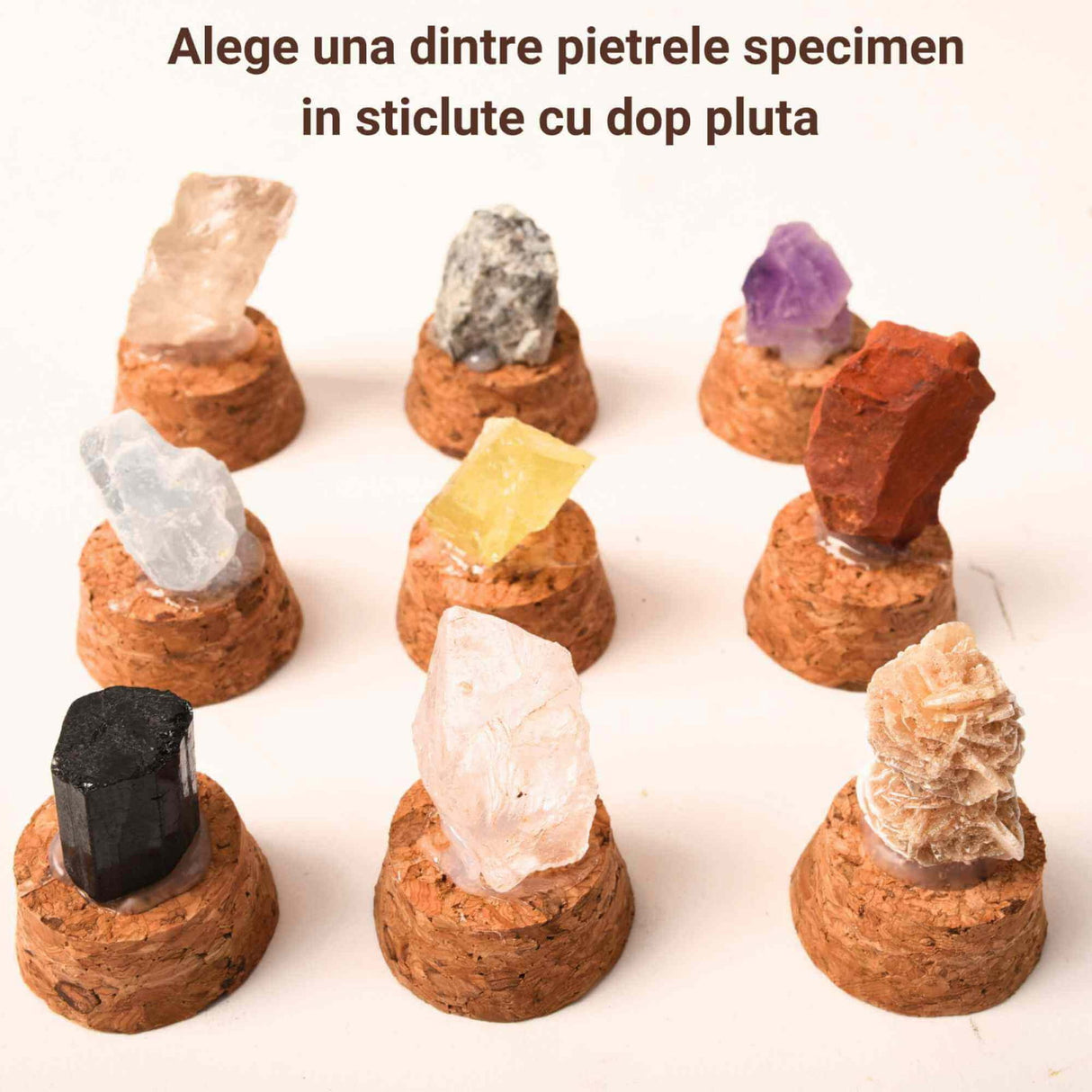 1 buc Piatra Bruta Specimen 2-3 cm in Sticluta cu Dop de Pluta
