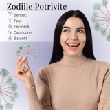 Ramurica Creativă DIY cu Pietre Naturale de Aventurin Verde (9 Pietricele)