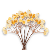 Ramurica DIY din Pietre Naturale Citrin (9 Pietricele)