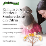 Ramurica DIY din Pietre Naturale Citrin (9 Pietricele)