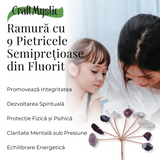 Ramurica Creativa DIY cu Pietre Naturale Fluorit (9 Pietricele)