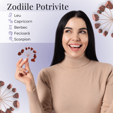 Ramurica Creativa DIY cu Pietre Naturale Jasp Rosu (9 Pietricele)