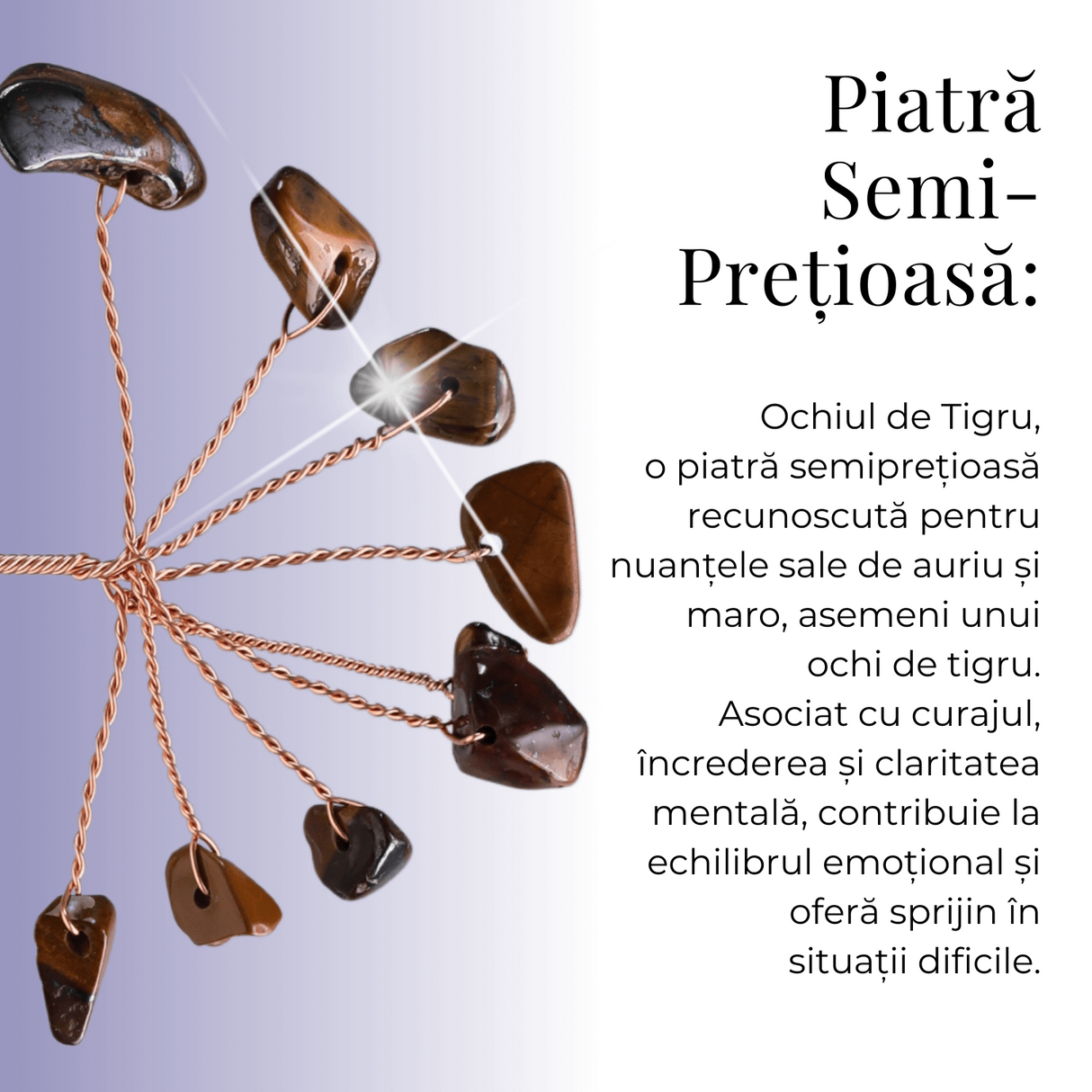 Ramurica Decorativă DIY cu Pietre Naturale Ochi de Tigru (9 Pietricele)