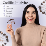 Ramurica Decorativă DIY cu Pietre Naturale Ochi de Tigru (9 Pietricele)