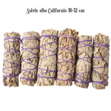 Buchet Salvie Alba California 10-12 cm - Curatare si Purificare Spirituala