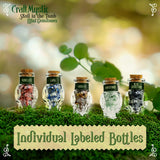 Set 14 Mini Cristale Naturale in sticlute cu forma de craniu - Un cadou perfect pentru incepatori in magie si vindecare spirituala - Cristale si pietre chakra Wiccan