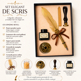 Set Stilou Pana Aurie Metalica Vintage – Eleganta si Cadou Special pentru Caligrafie