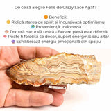Felie 10-11 cm din Agat Crazy Lace - Sculptata manual, energie în forma pura