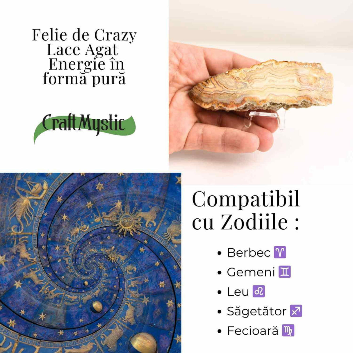 Felie 10-11 cm din Agat Crazy Lace - Sculptata manual, energie în forma pura