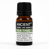 Ulei esential organic Tea Tree 10 ml (Melaleuca alternifolia) - purifiant pentru difuzor, ten si scalp (diluat)