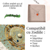 Colier Argint 925 cu Carneol Oval fatetat- Energie, Curaj si Vitalitate