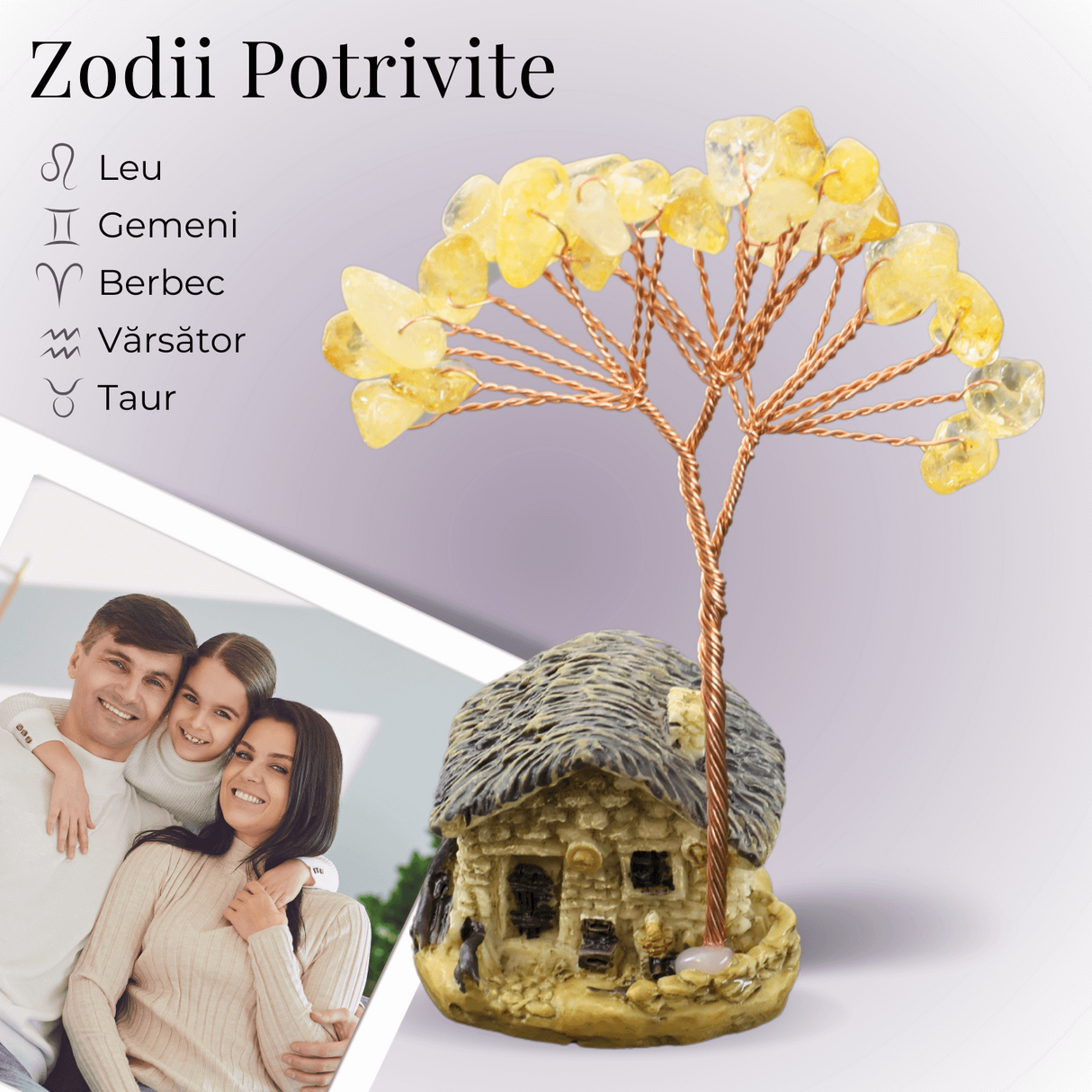 Figurina casuta cu ramura din Citrin Natural , Arbore de Energie Spirituala Reiki, pentru Decoratiuni de Birou si Acasa